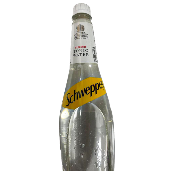 Schweppes Canada Dry 1L