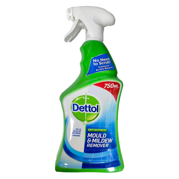 Dettol Mold And Mildew Remover 750ml