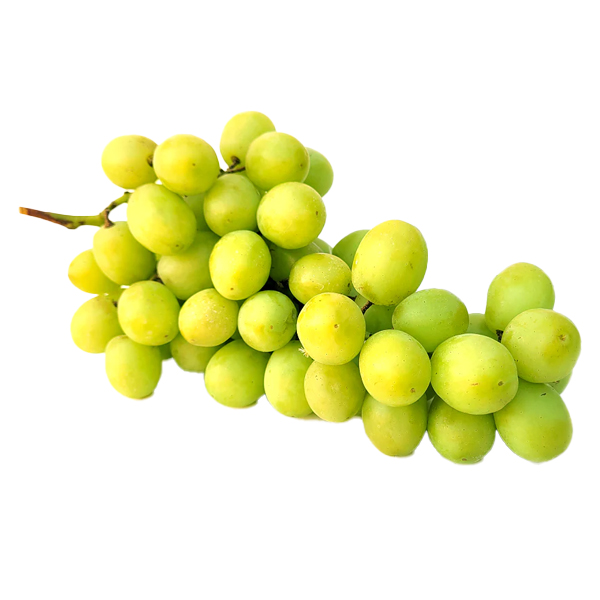 Grapes Globe Green