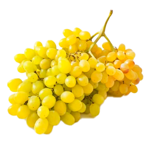 Grapes Sultana