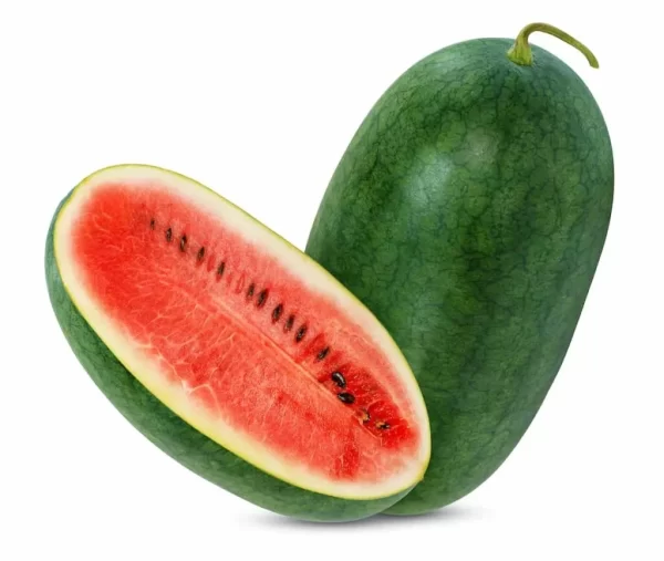 Melon Black Big