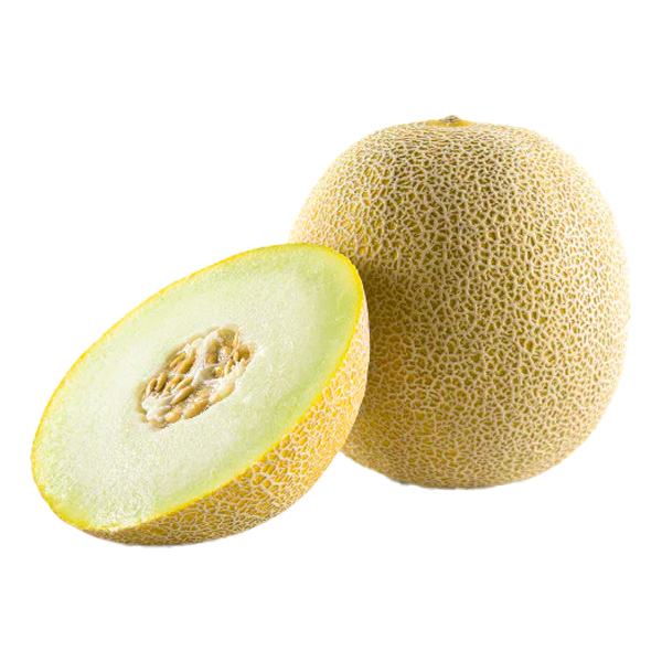 Melon Galia